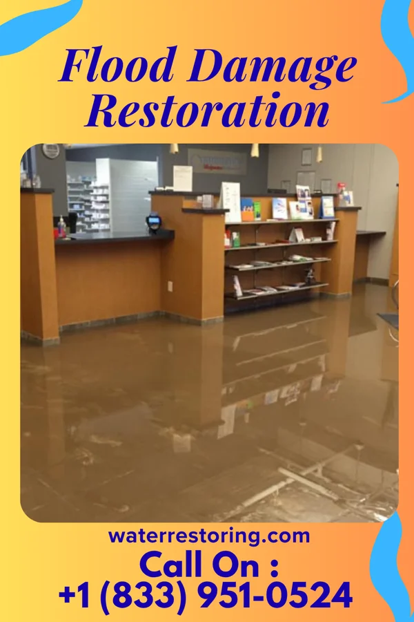 Flood Damage Restoration in Arnolds Park, IA